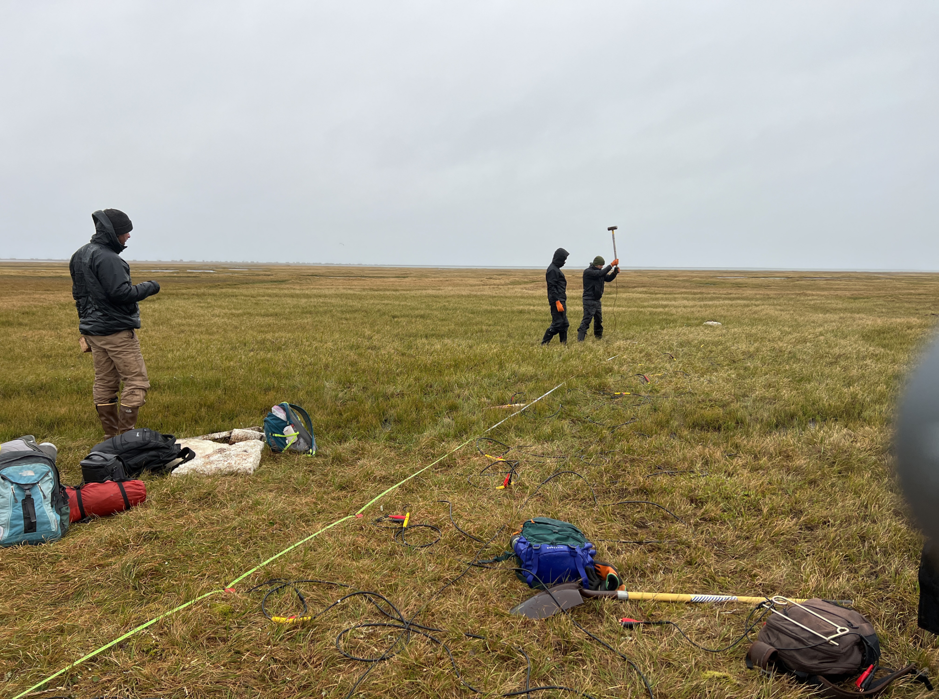 An array of 24 geophones deployed to image near-surface permafrost in Utqiagvik, AK